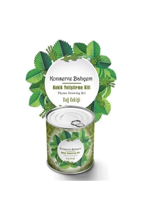 BUFFER® Konserve Bahçem Evde Konservede Kekik Dağ Kekiği Yetiştirme Kiti