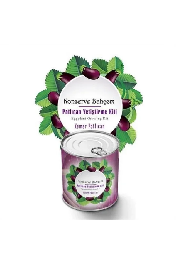 BUFFER® Konserve Bahçem Evde Konservede  Kemer PatlıcanYetiştirme Kiti