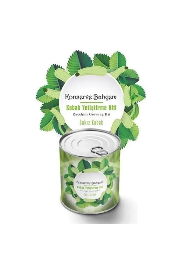 BUFFER® Konserve Bahçem Evde Konservede Sakız Kabak Yetiştirme Kiti