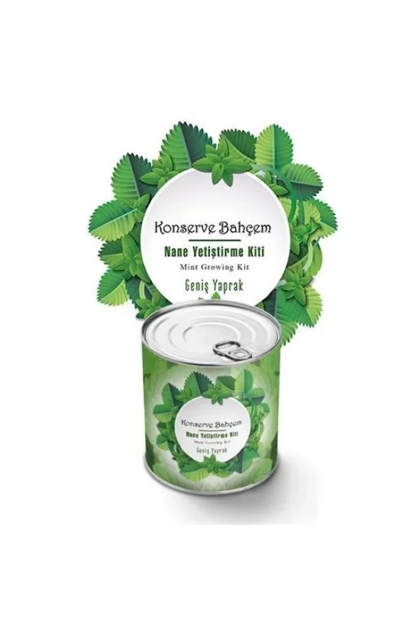 BUFFER® Konserve Bahçem Nane Yetiştirme Kiti