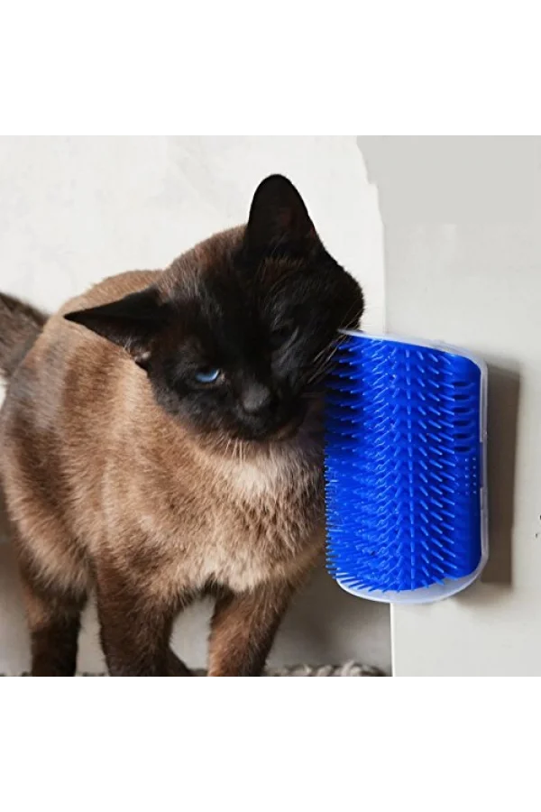 Cat It Kedi Kaşınma Aparatı