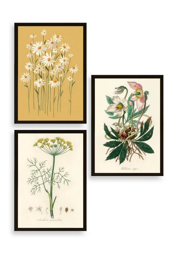 Çiçek Üçlü Ahşap Çerçeveli Tablo