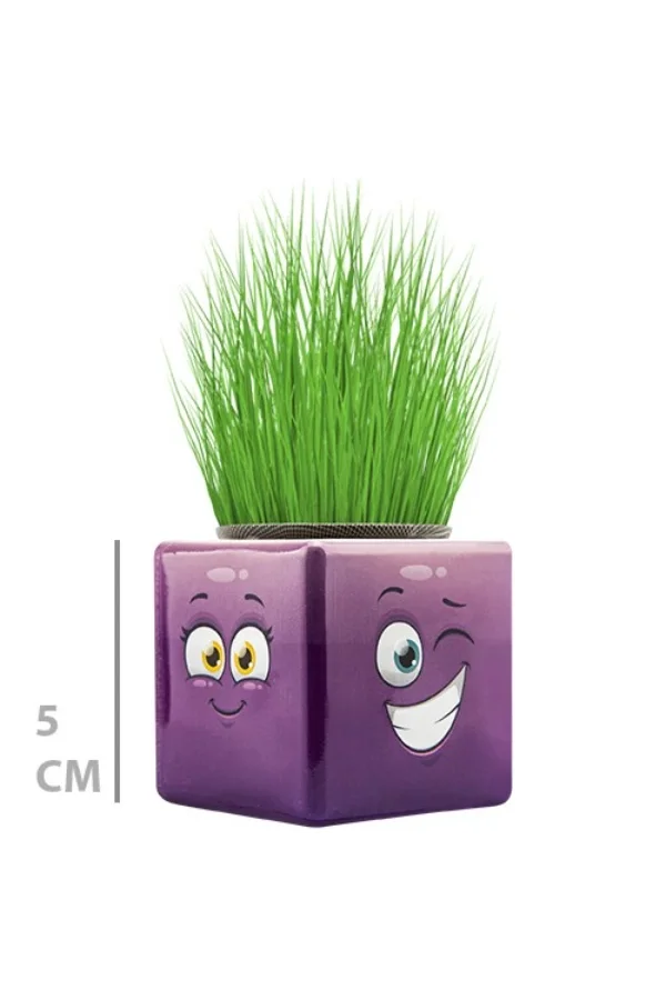 Çim Adam Mini Küp Emoji Figürlü 1 Adet