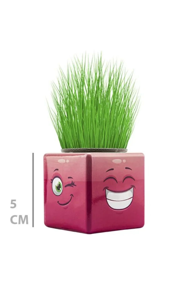 Çim Adam Mini Küp Emoji Figürlü 1 Adet