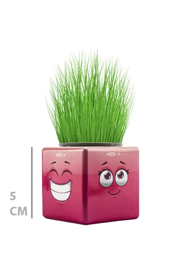 Çim Adam Mini Küp Emoji Figürlü 1 Adet