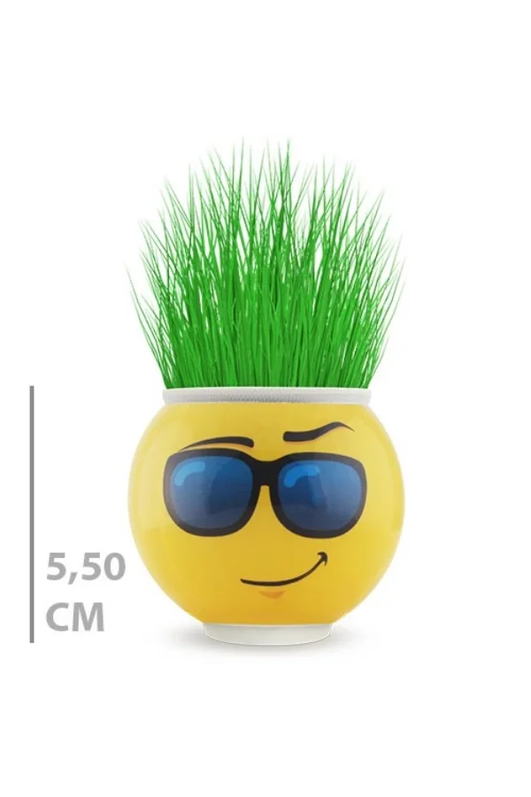 Çim Adam Saksı Emoji Figürlü 1 Adet