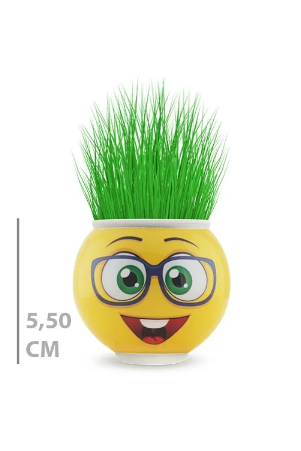 Çim Adam Saksı Emoji Figürlü 1 Adet