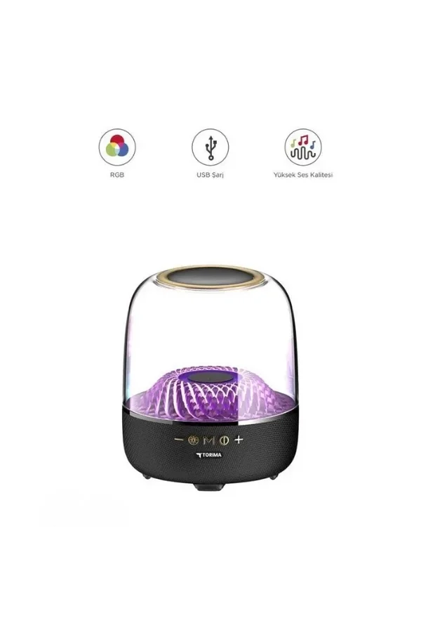 D33 Siyah Taşınabilir Kablosuz Bluetooth Hoparlör