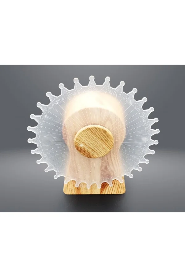 Dekoratif Işıklı Yel Değirmeni