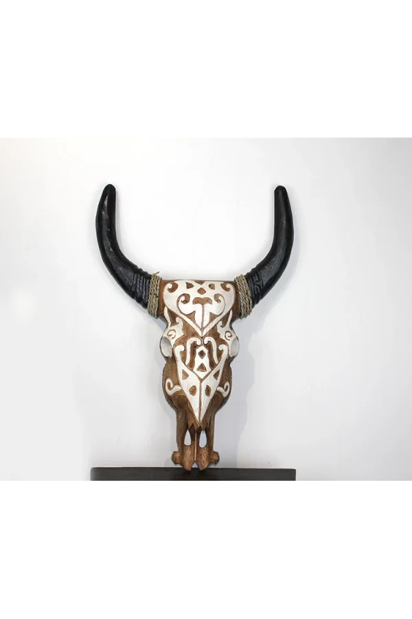 Duvara Asmalı Bufalo Kafası