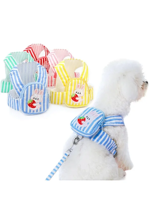 Evcil Hayvan Çantalı Göğüs Gezdirme Tasması Seti