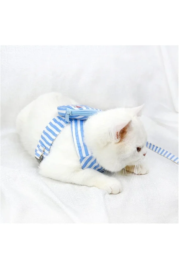 Evcil Hayvan Çantalı Göğüs Gezdirme Tasması Seti