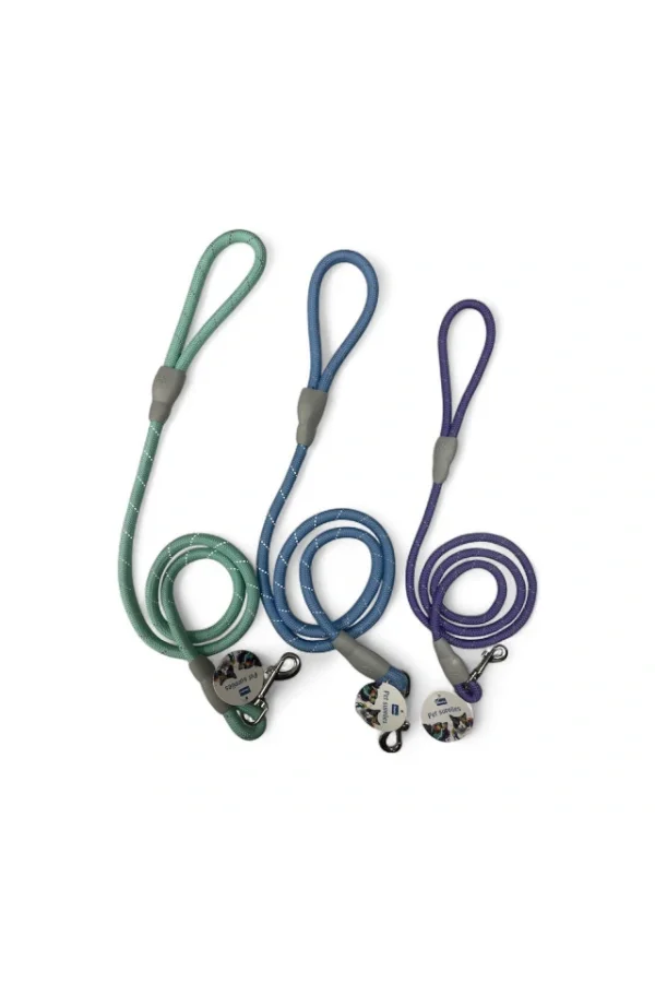 Evcil Hayvan Fitil Gezdirme Tasması 12 mm x 120 cm