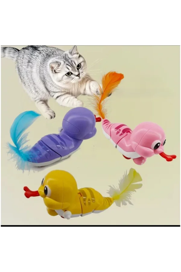 Evcil Hayvan Kedi Kurmalı Salyangoz Oyuncak