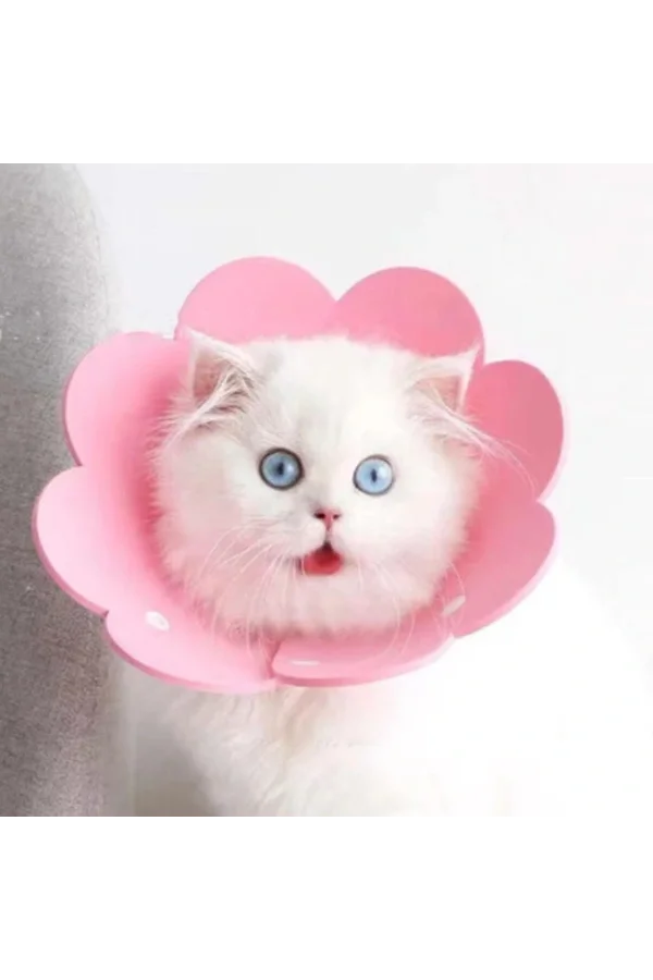 Evcil Hayvan M Boy Keçe Elizabeth Yakalığı