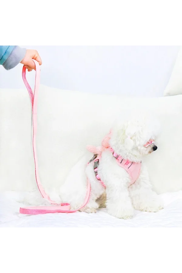 Evcil Hayvan Peluş Ayıcıklı Göğüs Gezdirme Tasması Set