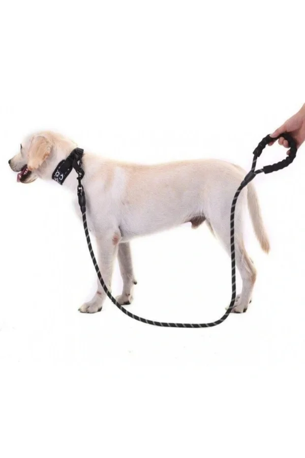 Evcil Hayvan Reflektörlü Fitil Gezdirme Tasması 12 mm x 120 cm