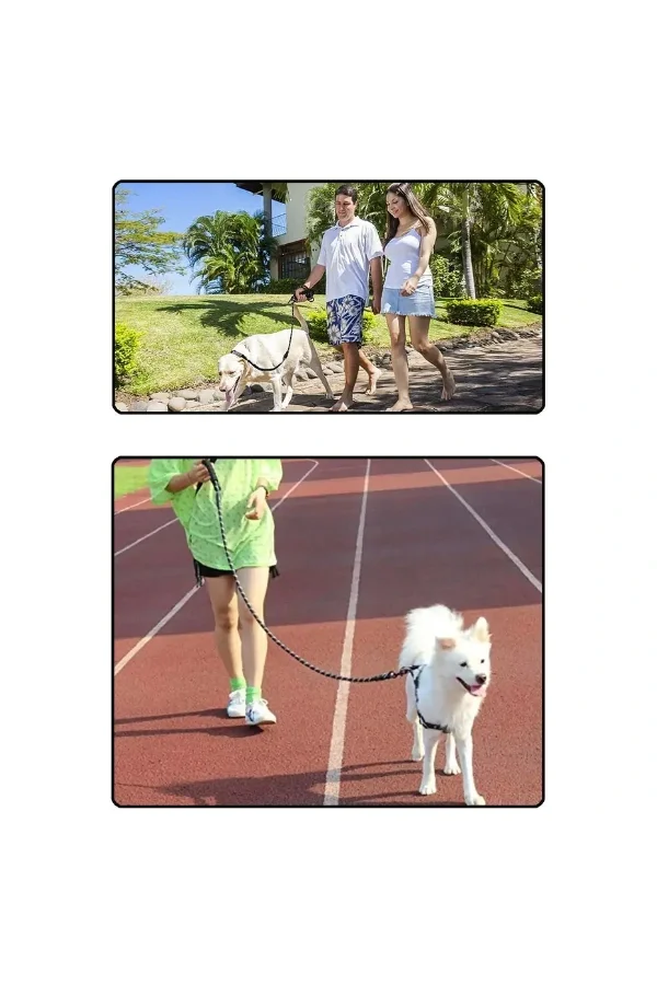 Evcil Hayvan Reflektörlü Fitil Gezdirme Tasması 8 mm x 120 cm