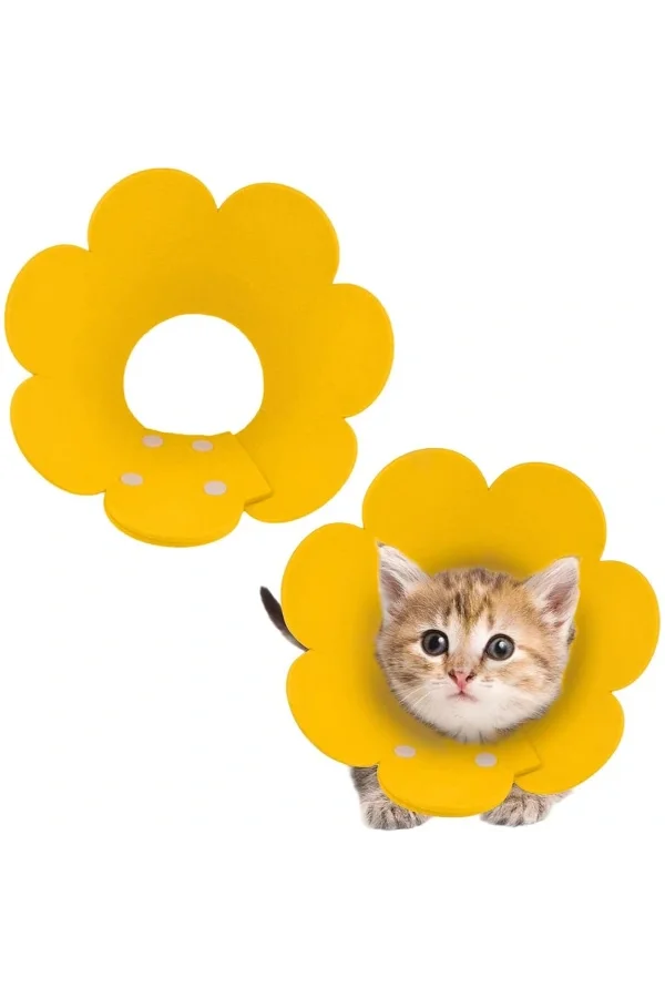 Evcil Hayvan S Boy Keçe Elizabeth Yakalığı