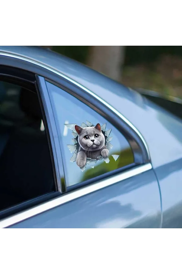 Fulcar Kedi Tasarımlı Araç Stickerı