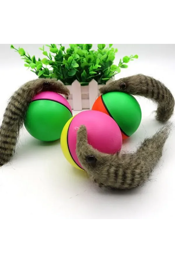 Hareketli Rakun Kedi Köpek Oyuncak