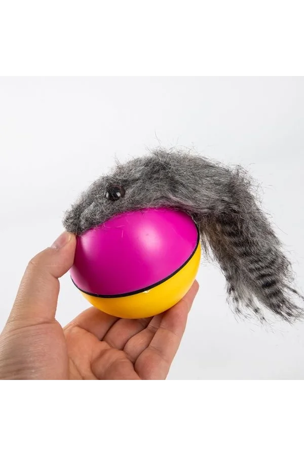 Hareketli Rakun Kedi Köpek Oyuncak