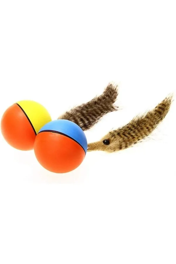 Hareketli Rakun Kedi Köpek Oyuncak