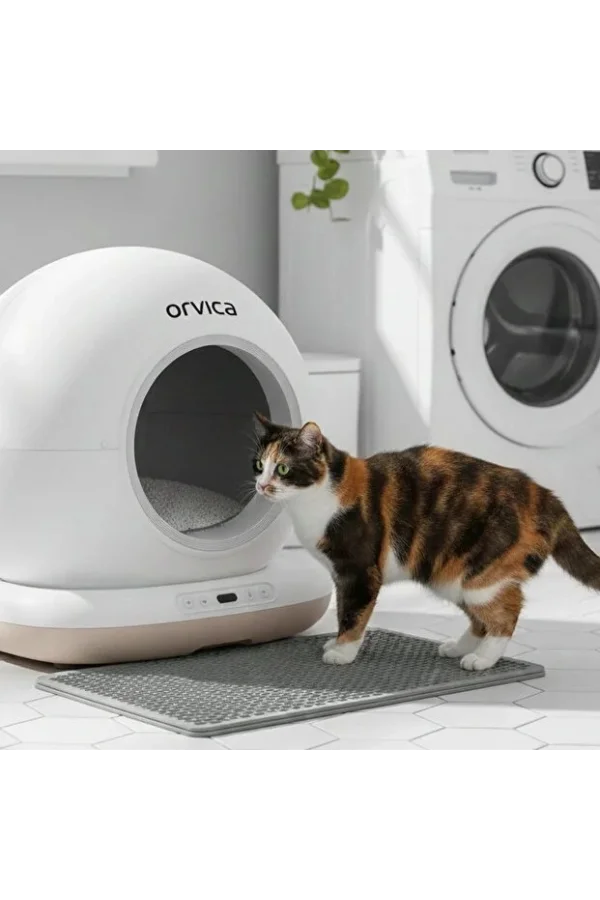 HD Kameralı Akıllı Kedi Tuvaleti