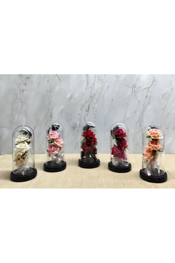 Işıklı Müzikli Cam Fanus İçinde Romantik Gül