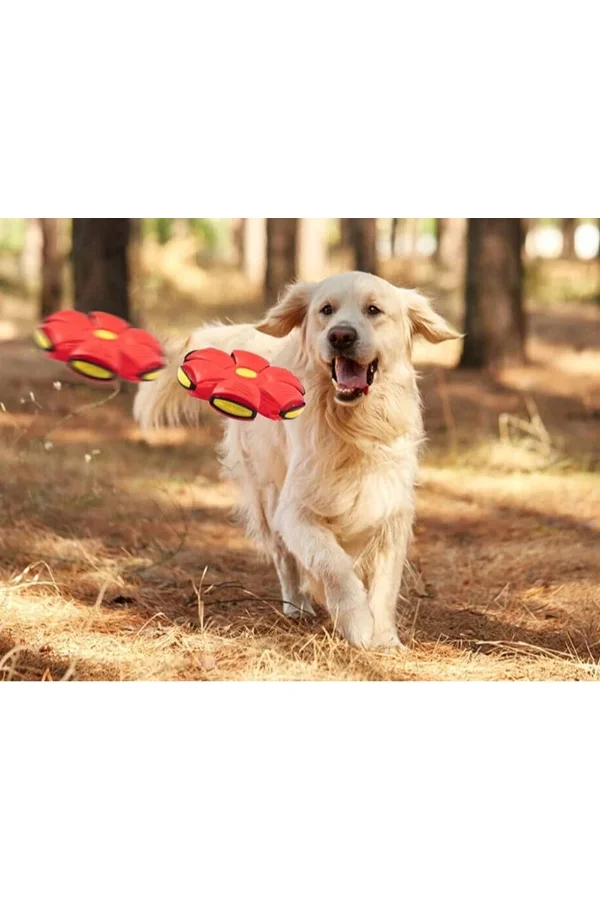 Işıklı Zıplayan Frizbi Evcil Hayvan Topu