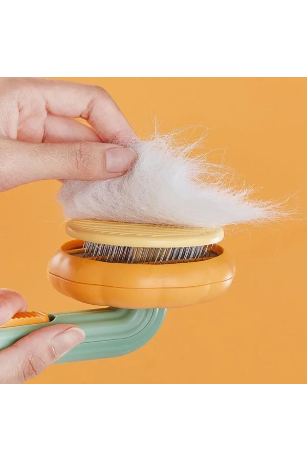 Kabak Tasarımlı Evcil Hayvan Tarağı