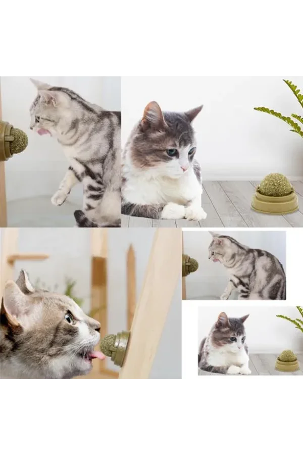 Kedi Nanesi Oyun Topu