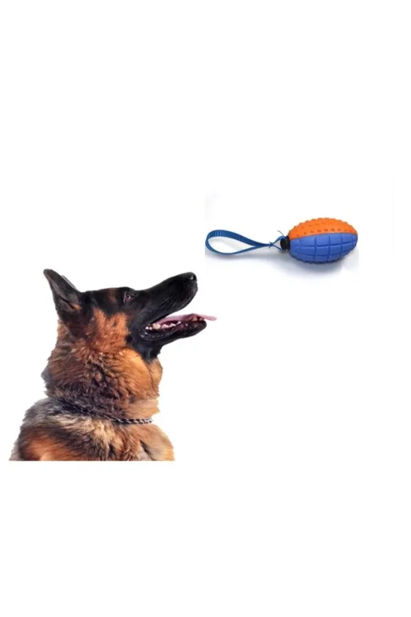 Köpek Diş Kaşıma Oyun Topu