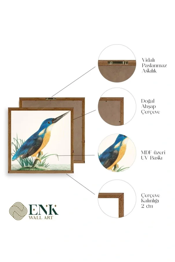 Kuş Ahşap Çerçeveli Tablo