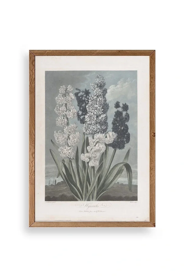 Legendarte Canvas Ahşap Çerçeveli Tablo