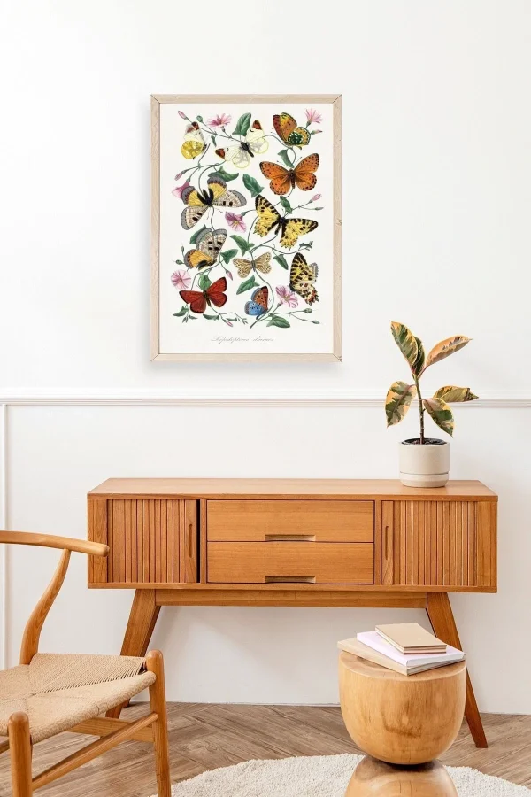 Lepidopteres Diurnes Ahşap Çerçeveli Tablo