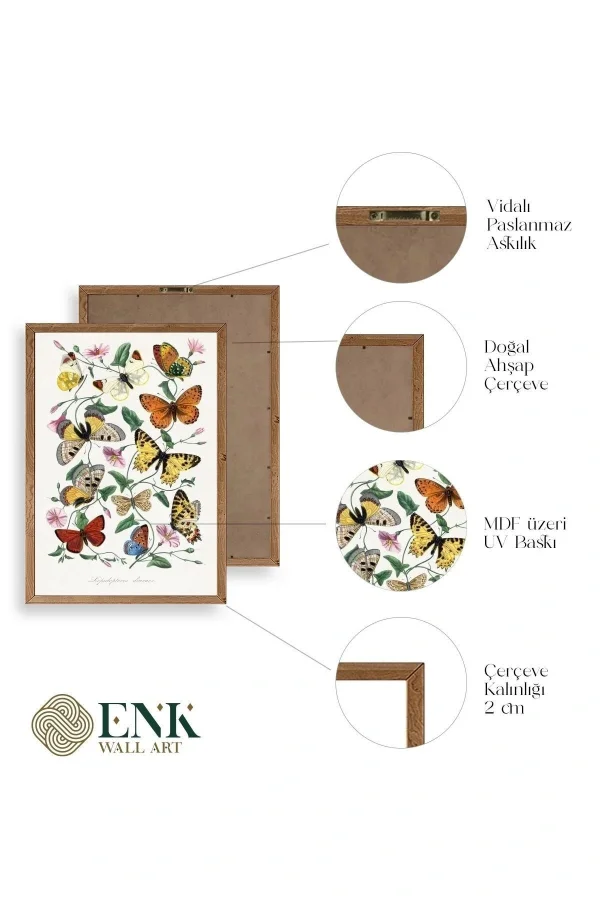 Lepidopteres Diurnes Ahşap Çerçeveli Tablo