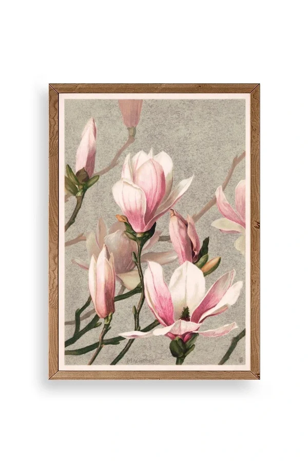 Magnolia Flowers Ahşap Çerçeveli Tablo