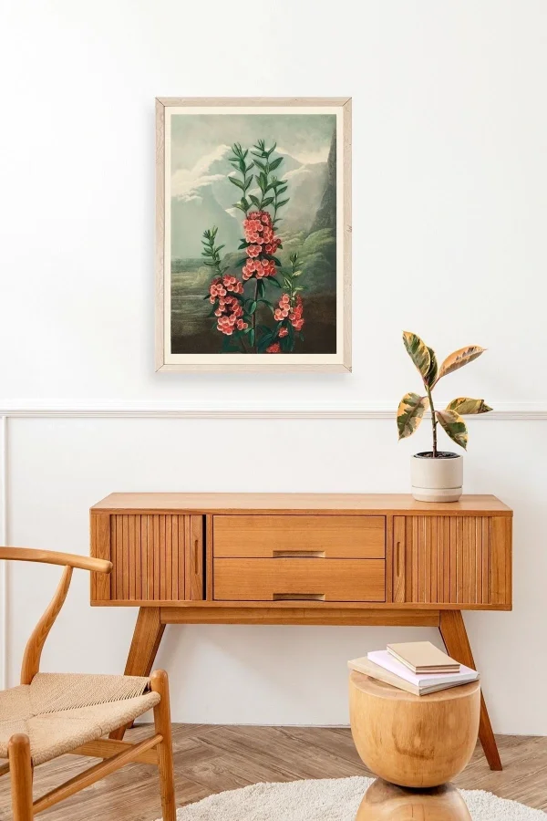 Narrow-Leaved Kalmia Ahşap Çerçeveli Tablo