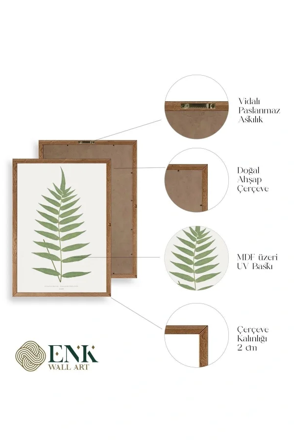 Polypodium Franxinifolium Ahşap Çerçeveli Tablo