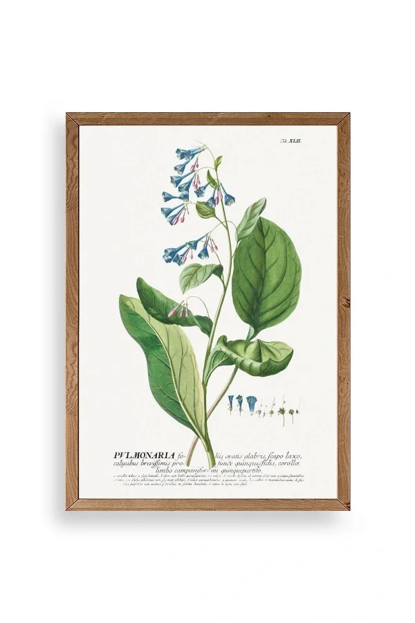 Pvlmonarla Ahşap Çerçeveli Tablo