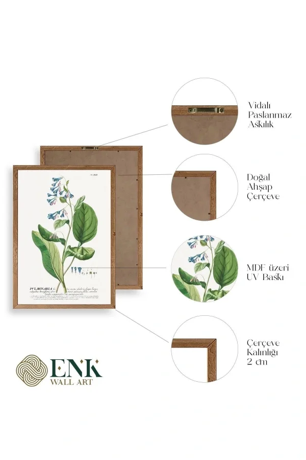 Pvlmonarla Ahşap Çerçeveli Tablo