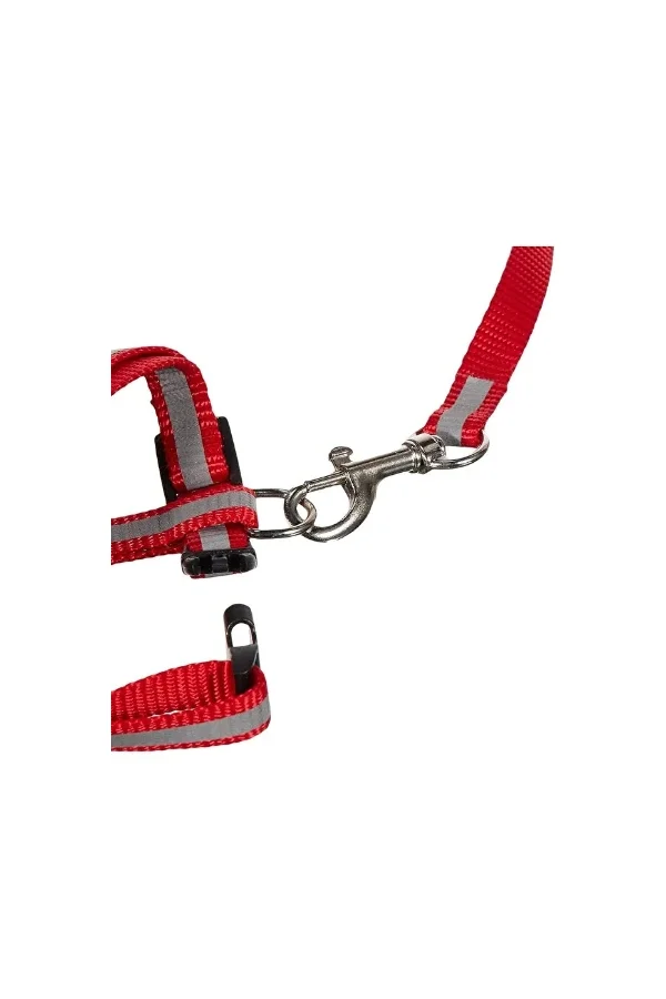 Reflektörlü Kedi Gezdirme Tasması