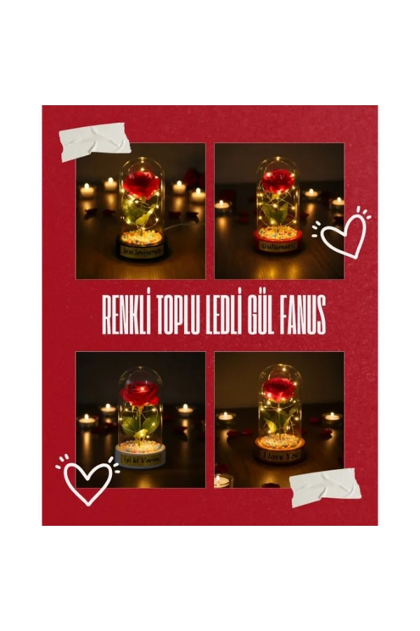 Renkli Toplu Ledli Gül Fanus