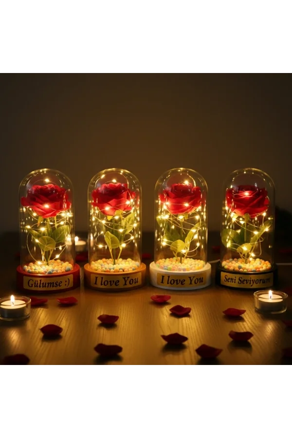 Renkli Toplu Ledli Gül Fanus