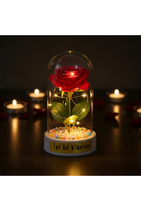 Renkli Toplu Ledli Gül Fanus