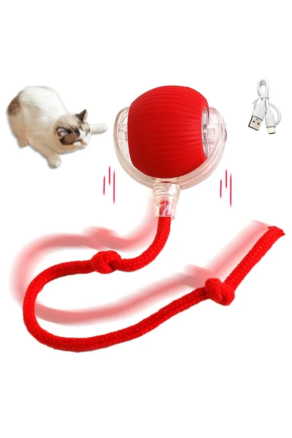 Şarjlı Kedi Oyuncağı