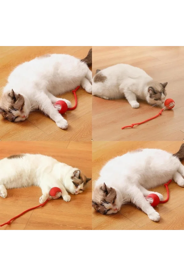 Şarjlı Kedi Oyuncağı