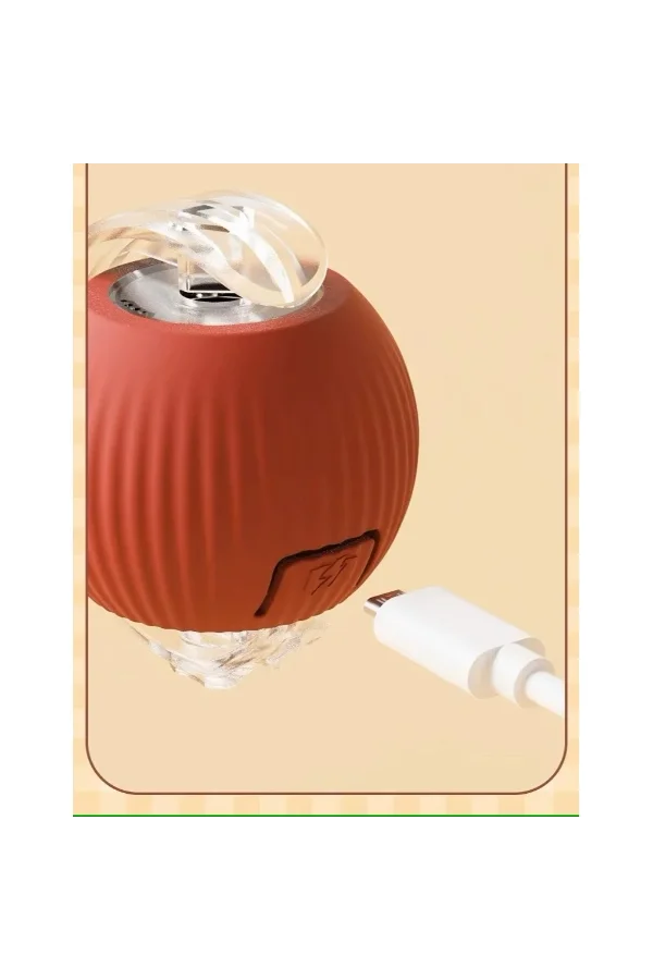 Şarjlı Kedi Oyuncağı