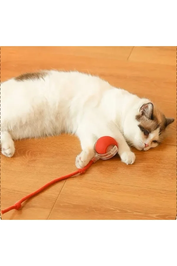 Şarjlı Kedi Oyuncağı